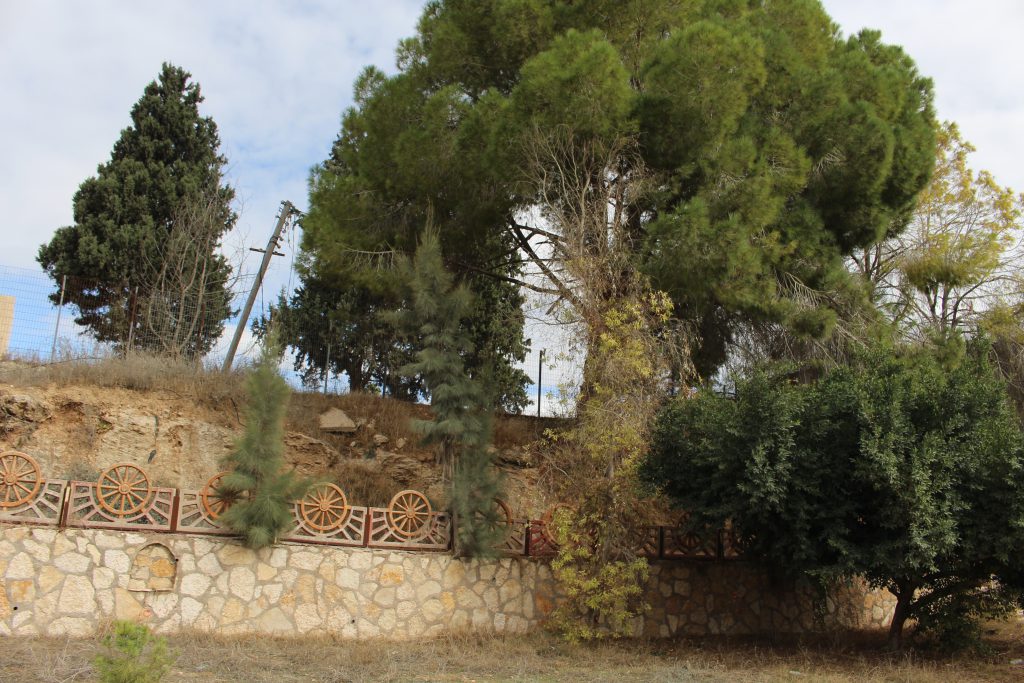 IMG_9138